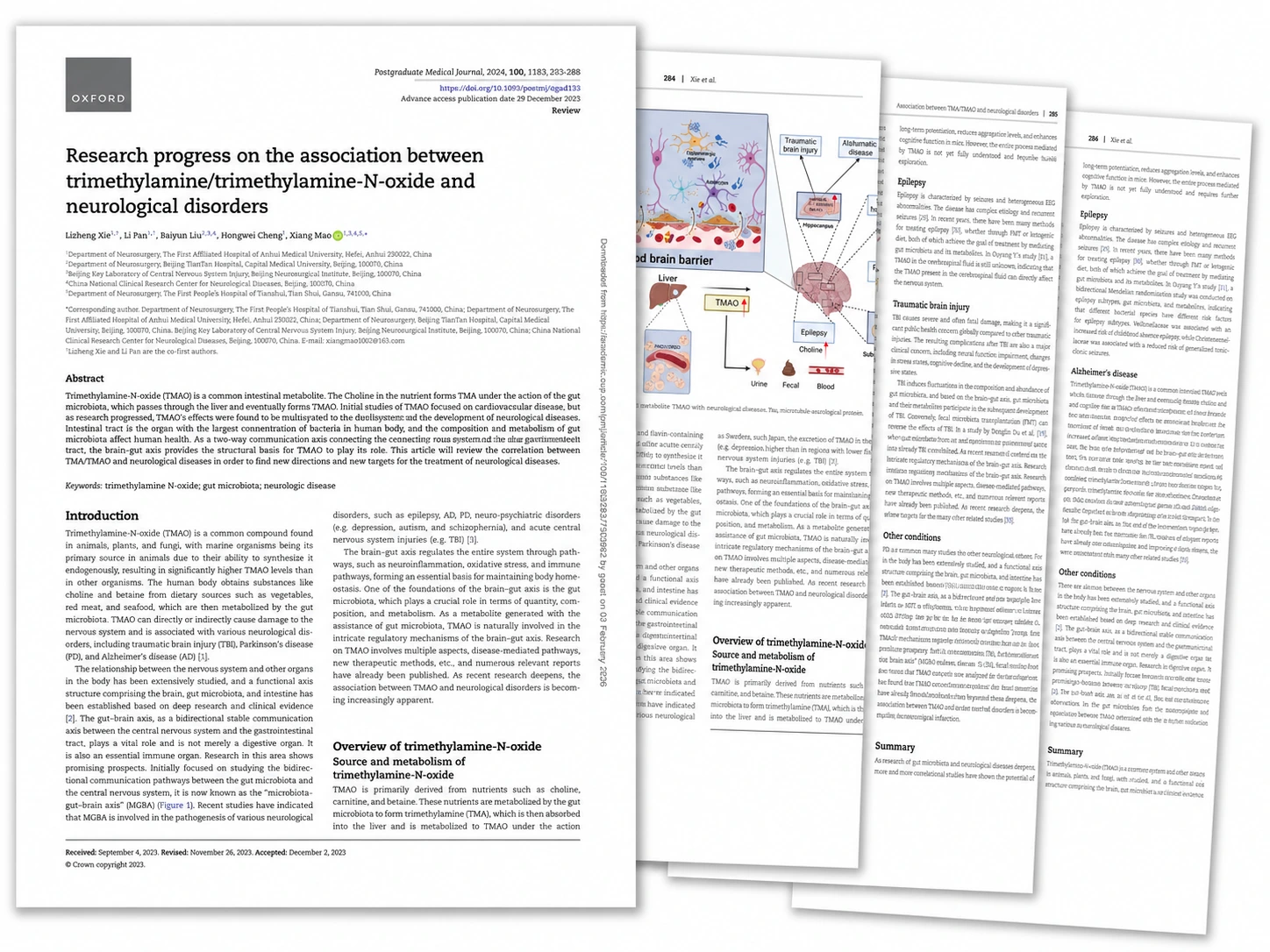 Research Progress on the Association Between Trimethylamine/Trimethylamine-N-Oxide and Neurological Disorders